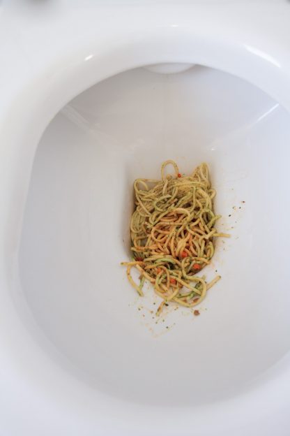 when is a photo shit or a masterpiece, spaghetti in a toilet